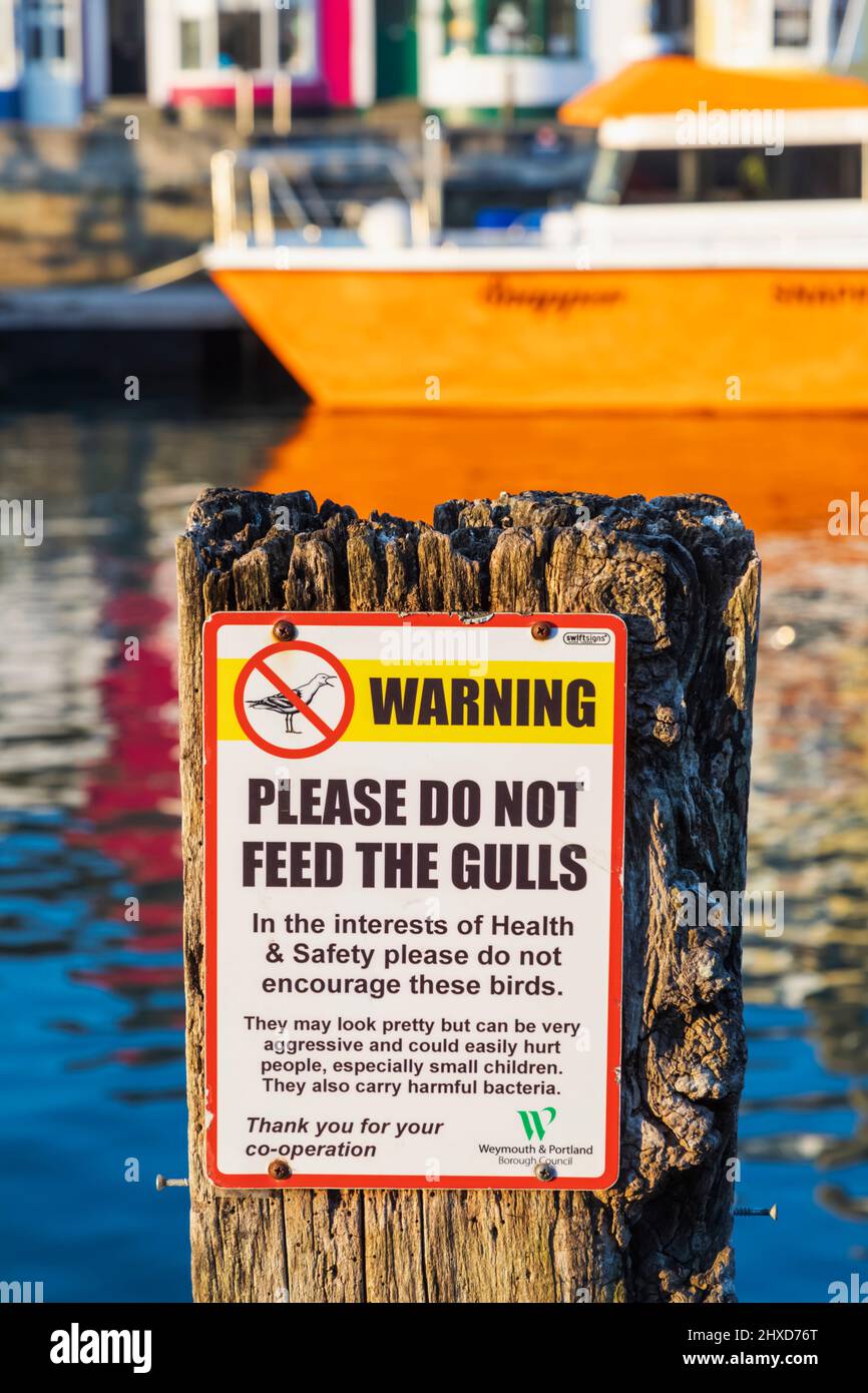 Inghilterra, Dorset, Weymouth, Weymouth Harbour, segnale di avvertimento per non alimentare i gabbiani Foto Stock
