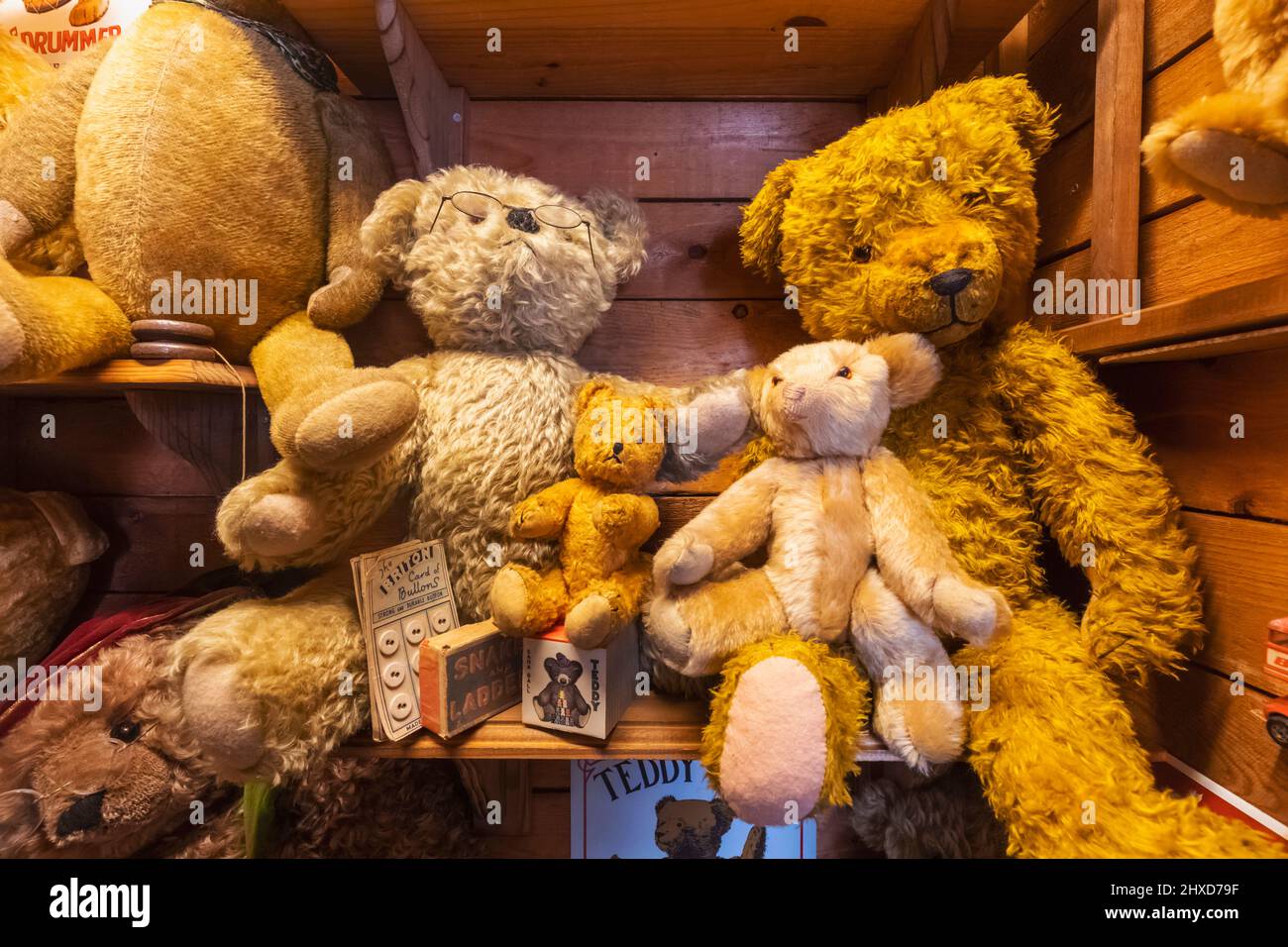 Inghilterra, Dorset, Dorchester, il Teddy Bear Museum, mostra di orsi Teddy Vintage Foto Stock