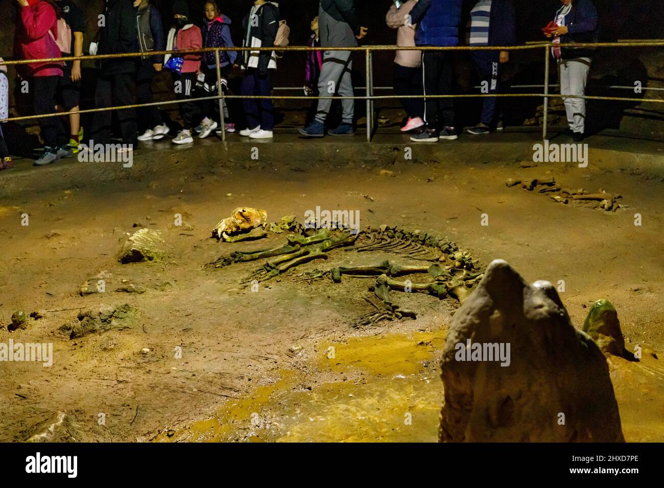 I turisti nella caverna dell'orso pestera ursilor a chiscau in romania Foto Stock