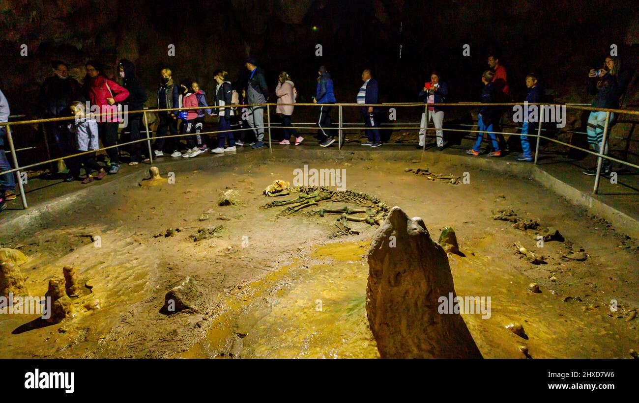 I turisti nella caverna dell'orso pestera ursilor a chiscau in romania Foto Stock