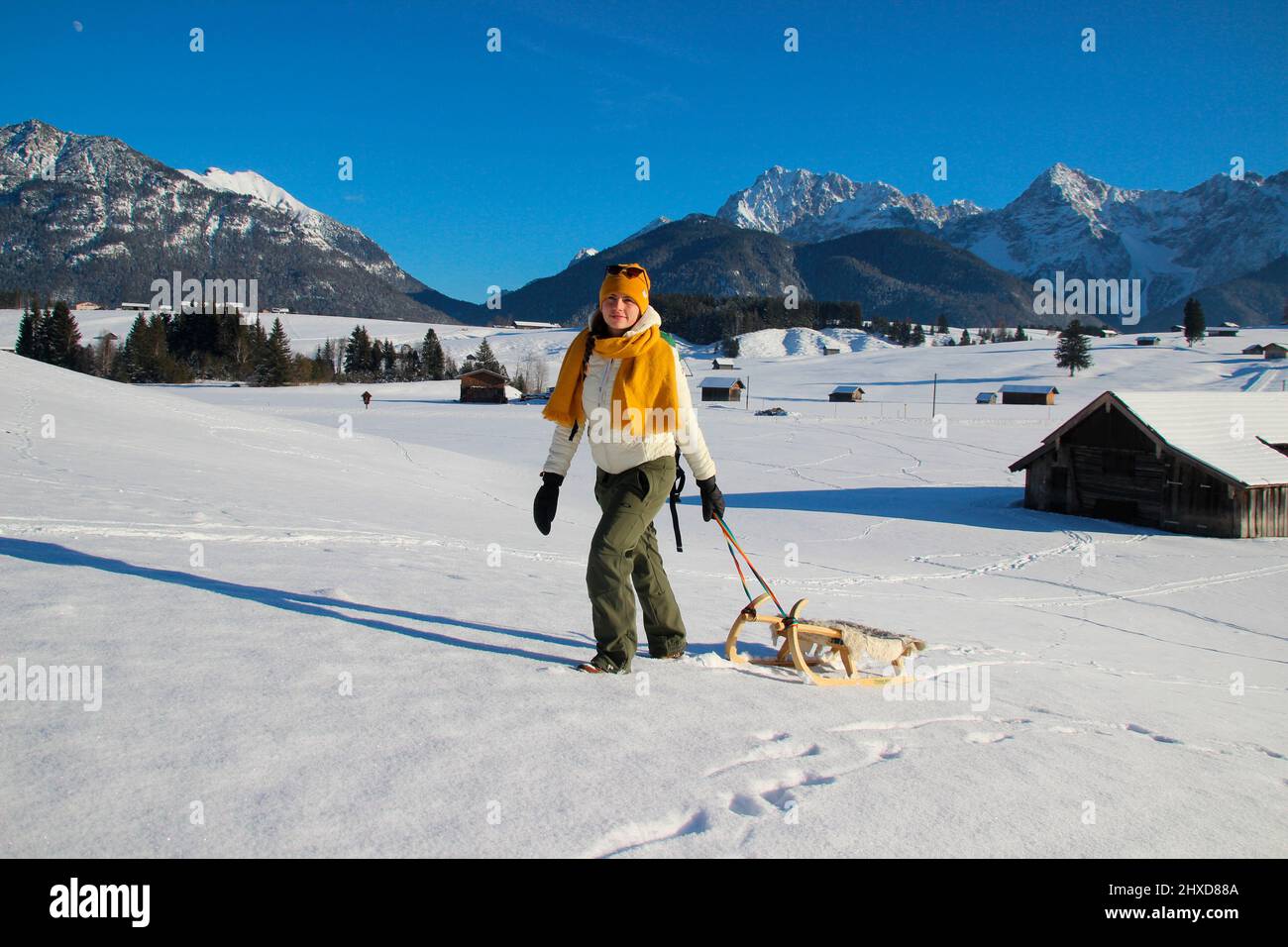 Giovane donna in inverno escursione vicino Mittenwald, slitta di fronte al paesaggio di montagna nella neve, Baviera, alta Baviera, Germania, vacanza, inverno, Foto Stock