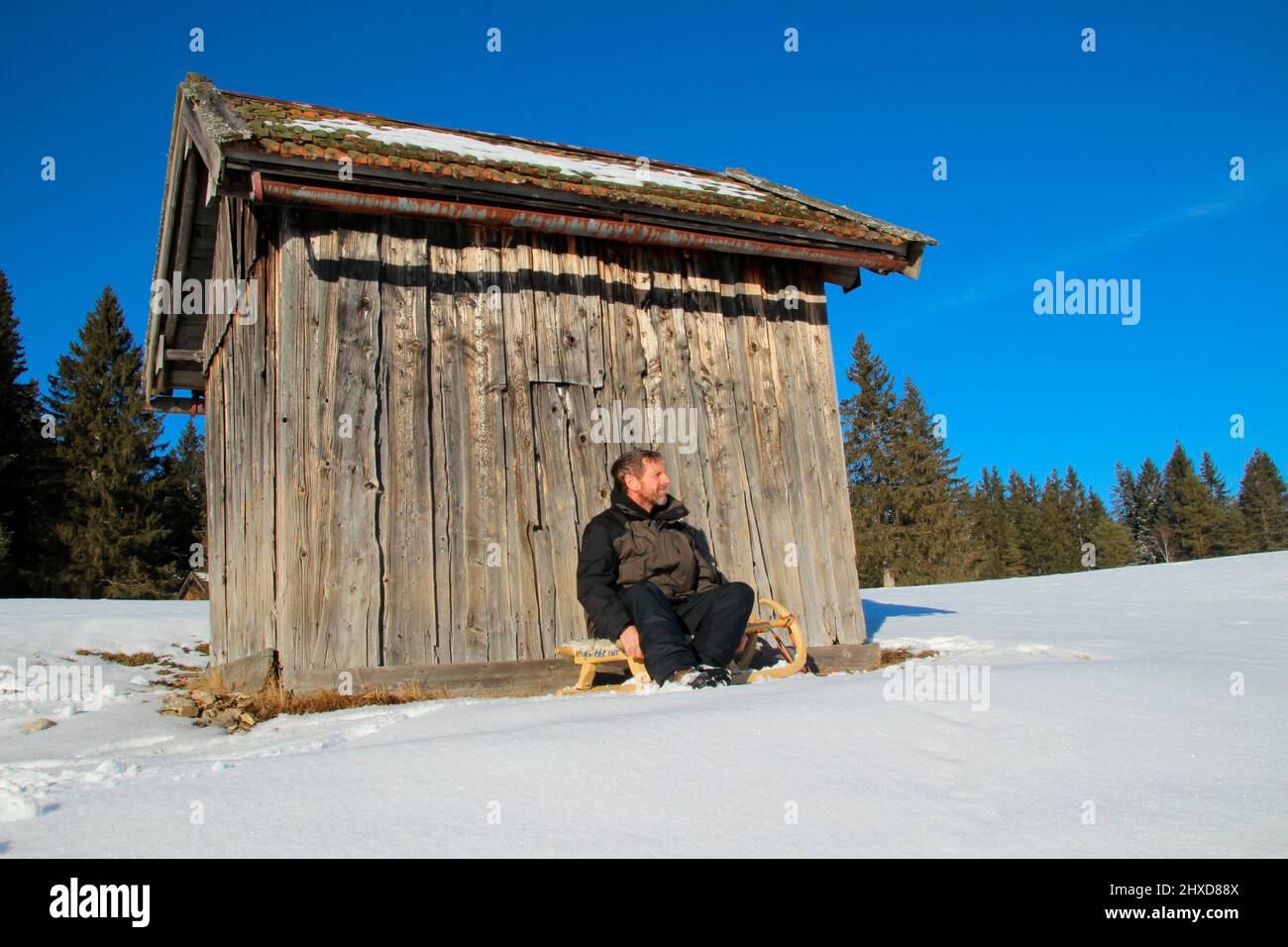 Uomo in inverno escursione vicino Mittenwald, slitta di fronte al paesaggio di montagna nella neve, Baviera, alta Baviera, Germania, vacanza, inverno, Foto Stock