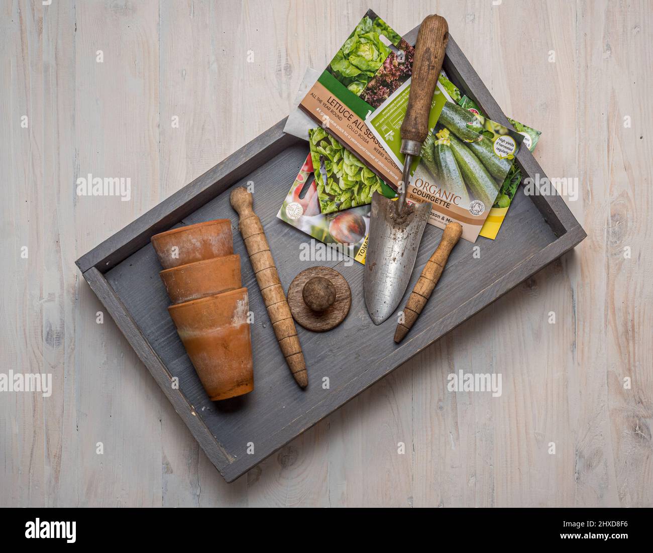 Vassoio di legno con cazzuola, pacchetti di semi e pentole di piante Foto Stock