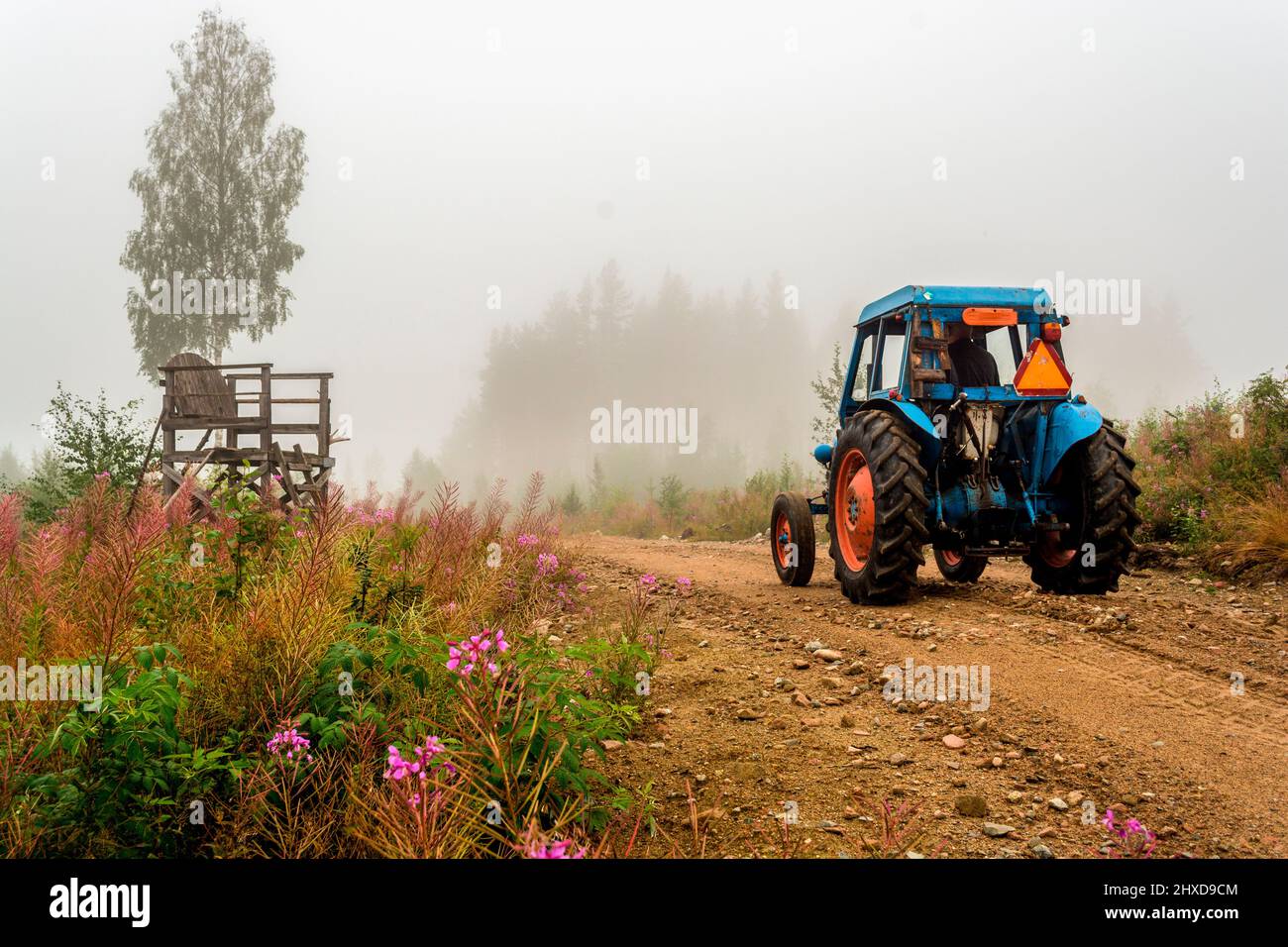 trattore che guida su una strada sporca con nebbia Foto Stock