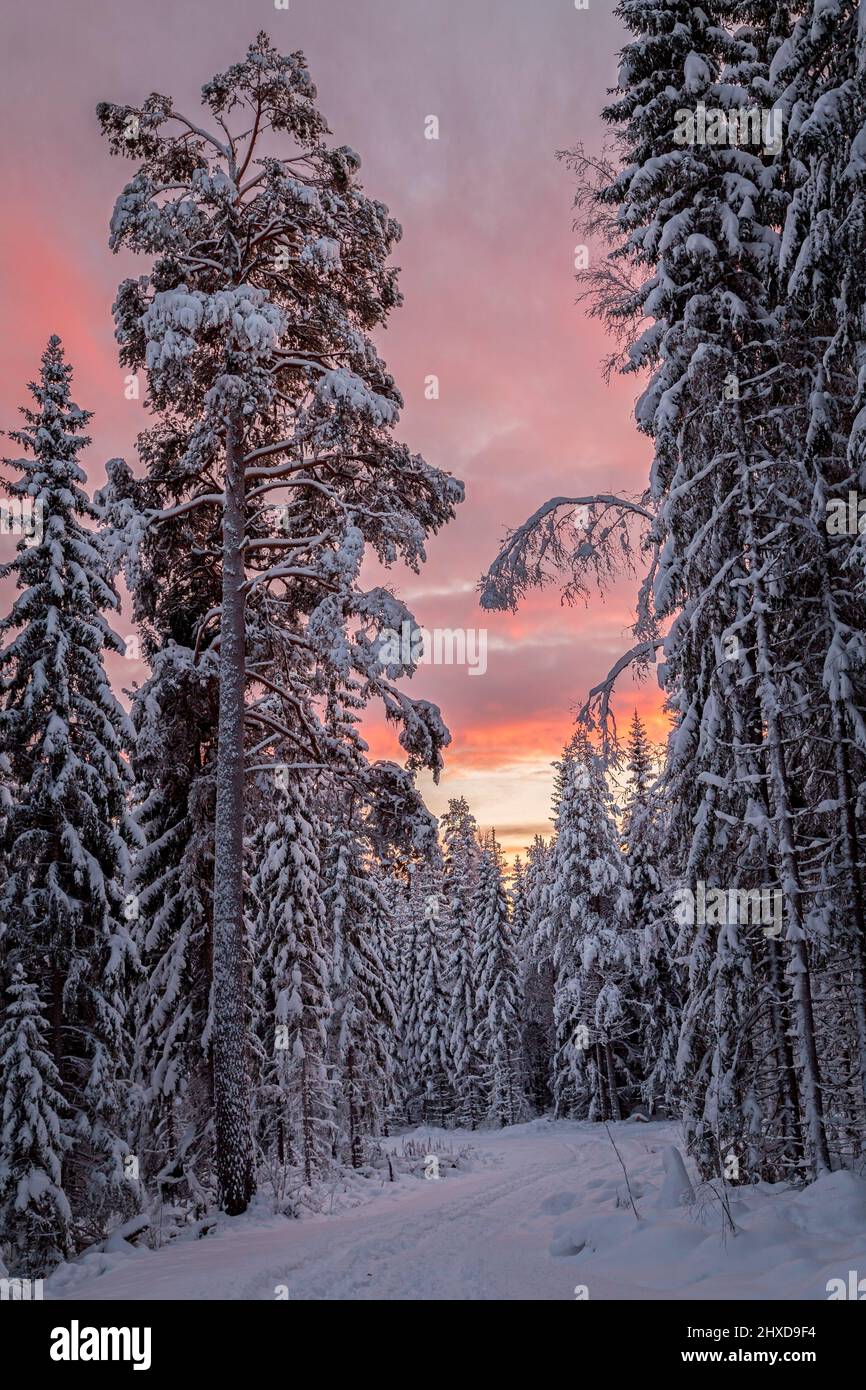 strada sporca in un paesaggio di neve e tramonto Foto Stock