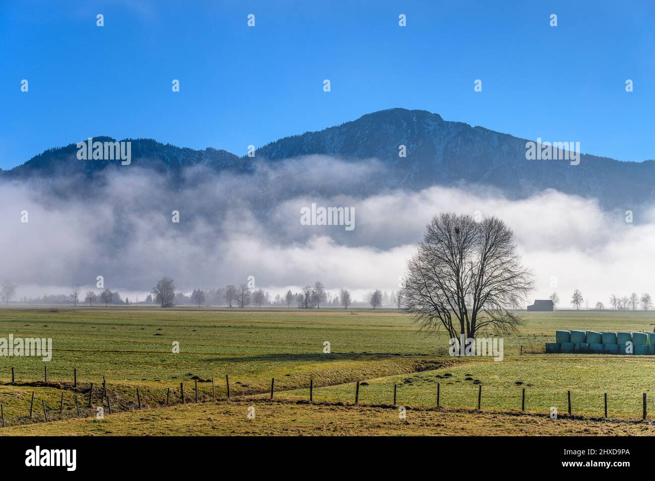 Germania, Baviera, alta Baviera, Tölzer Land, Schlehdorf a Kochelsee, Vista su Loisach-Kochelsee ormeggio verso Jochberg Foto Stock