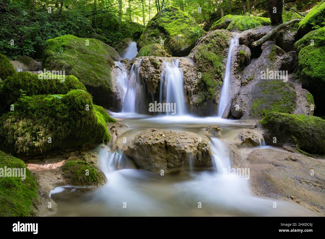 Europa, Svizzera, Lago di Biel, Twann, gola di Twannbach, cascata circondata da pietre mosy Foto Stock