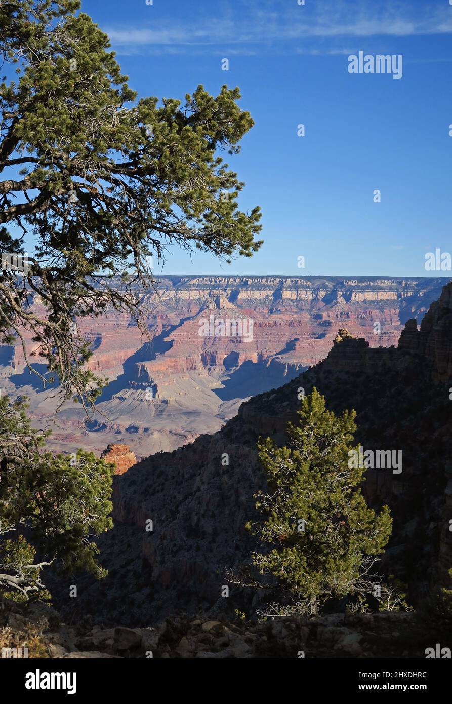Grand Canyon dal South Rim in Arizona Foto Stock