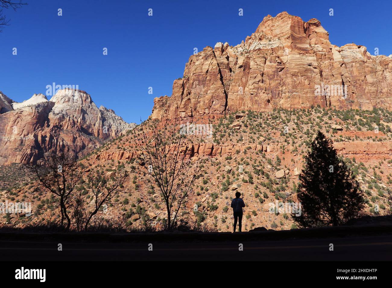 Persona in silhouetted nel parco nazionale di Zion, Utah Foto Stock