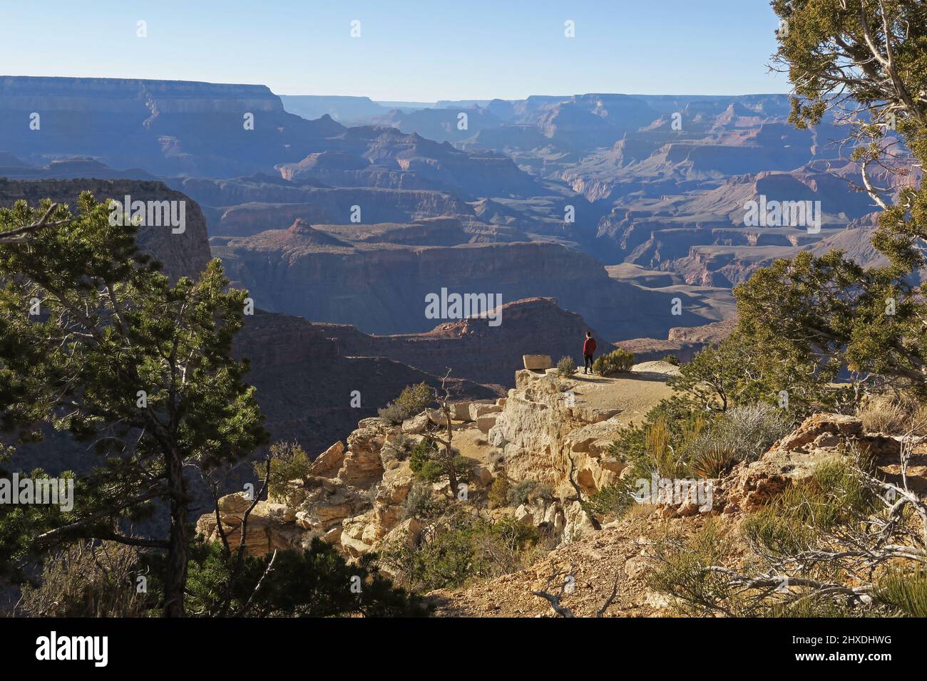 Persona sola che si prende la vista panoramica del Grand Canyon in Arizona Foto Stock