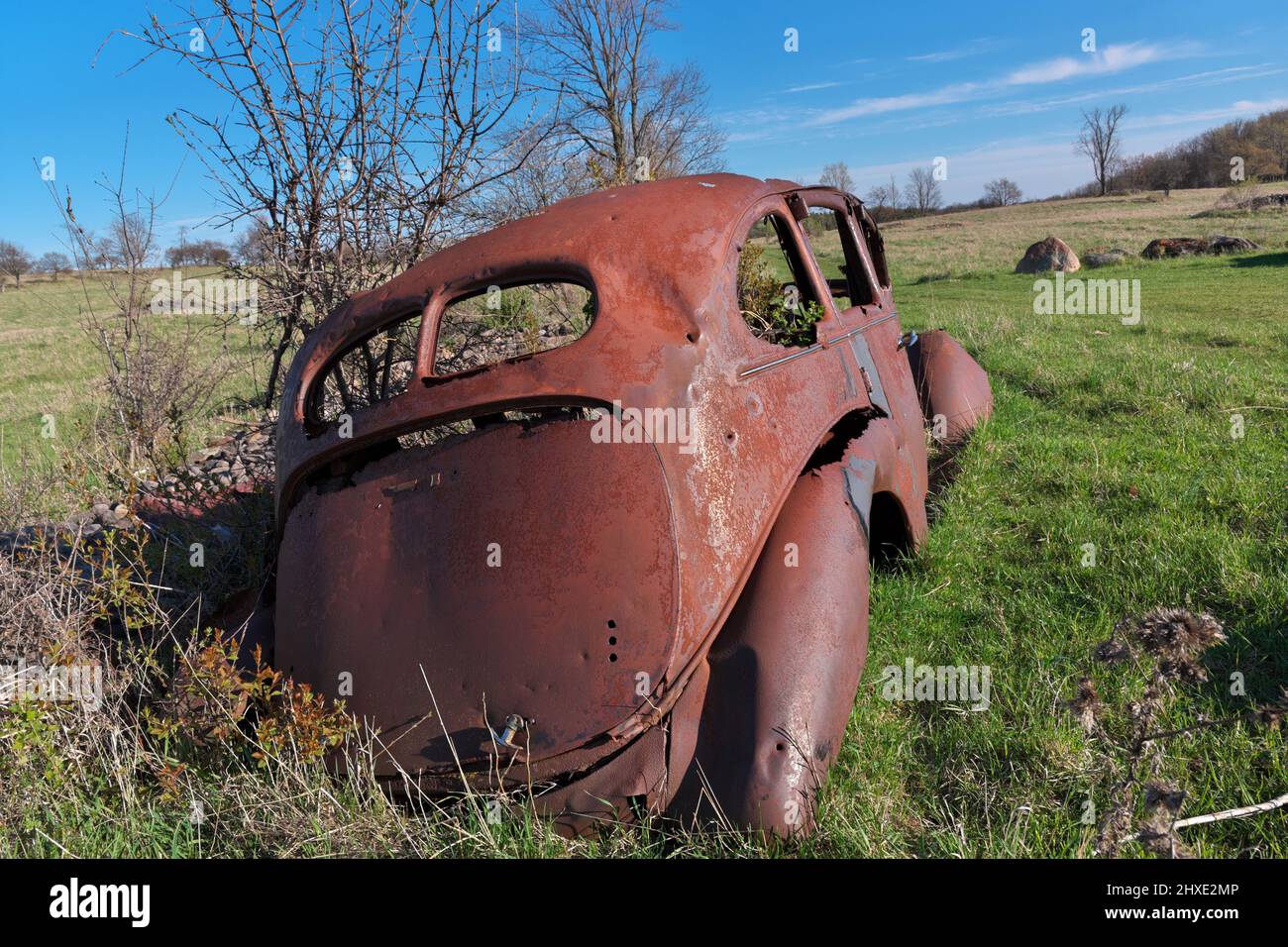 Derelitto e arrugginito auto d'epoca in un campo di fattoria in un giorno soleggiato Foto Stock