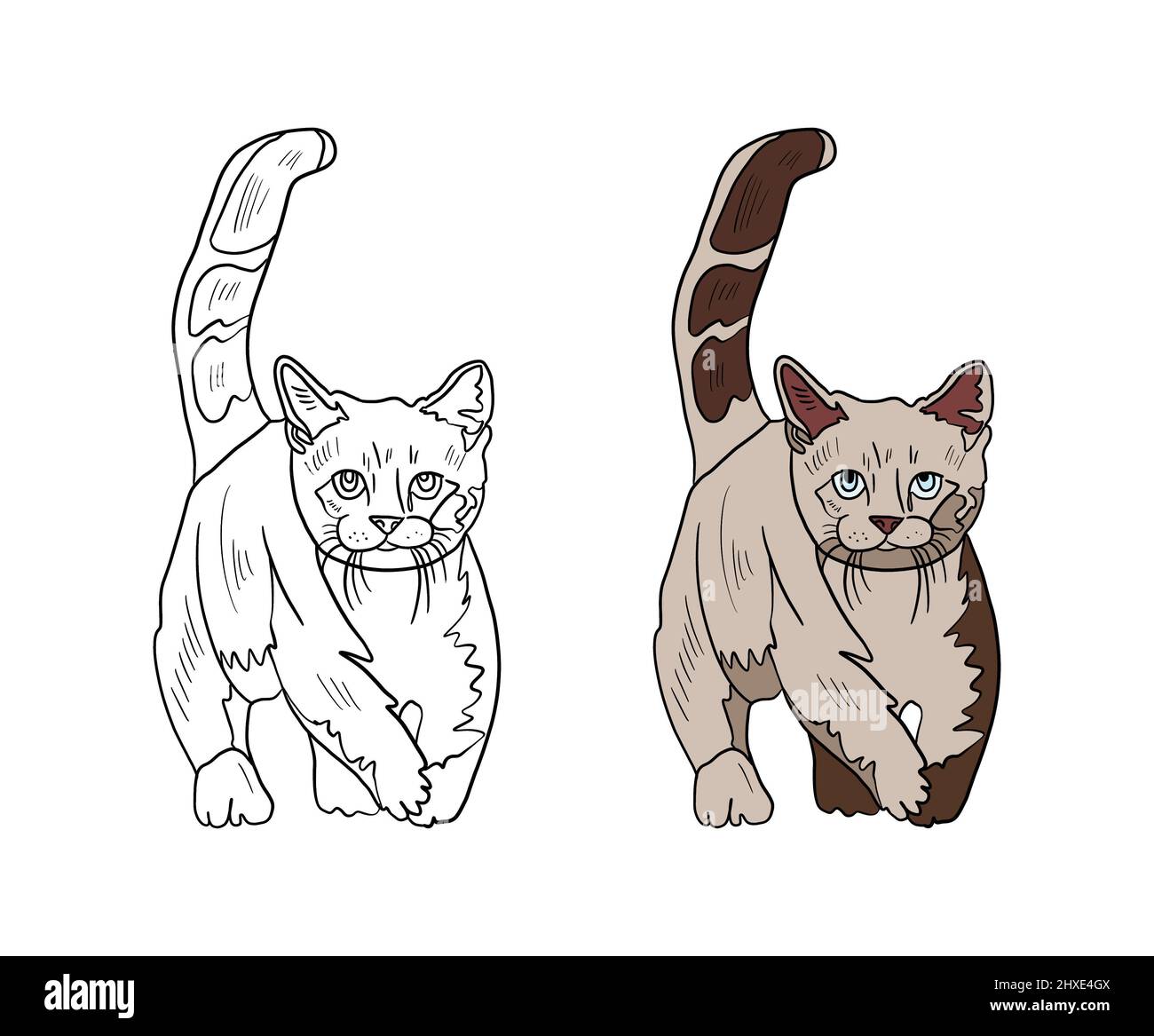 Illustrazione di un libro da colorare a colori e in bianco e nero. Disegno di un gatto su uno sfondo bianco isolato. Illustrazione di alta qualità Foto Stock