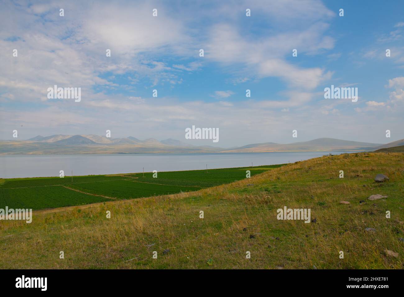 nuvole bianche nel cielo blu e un campo verde Foto Stock