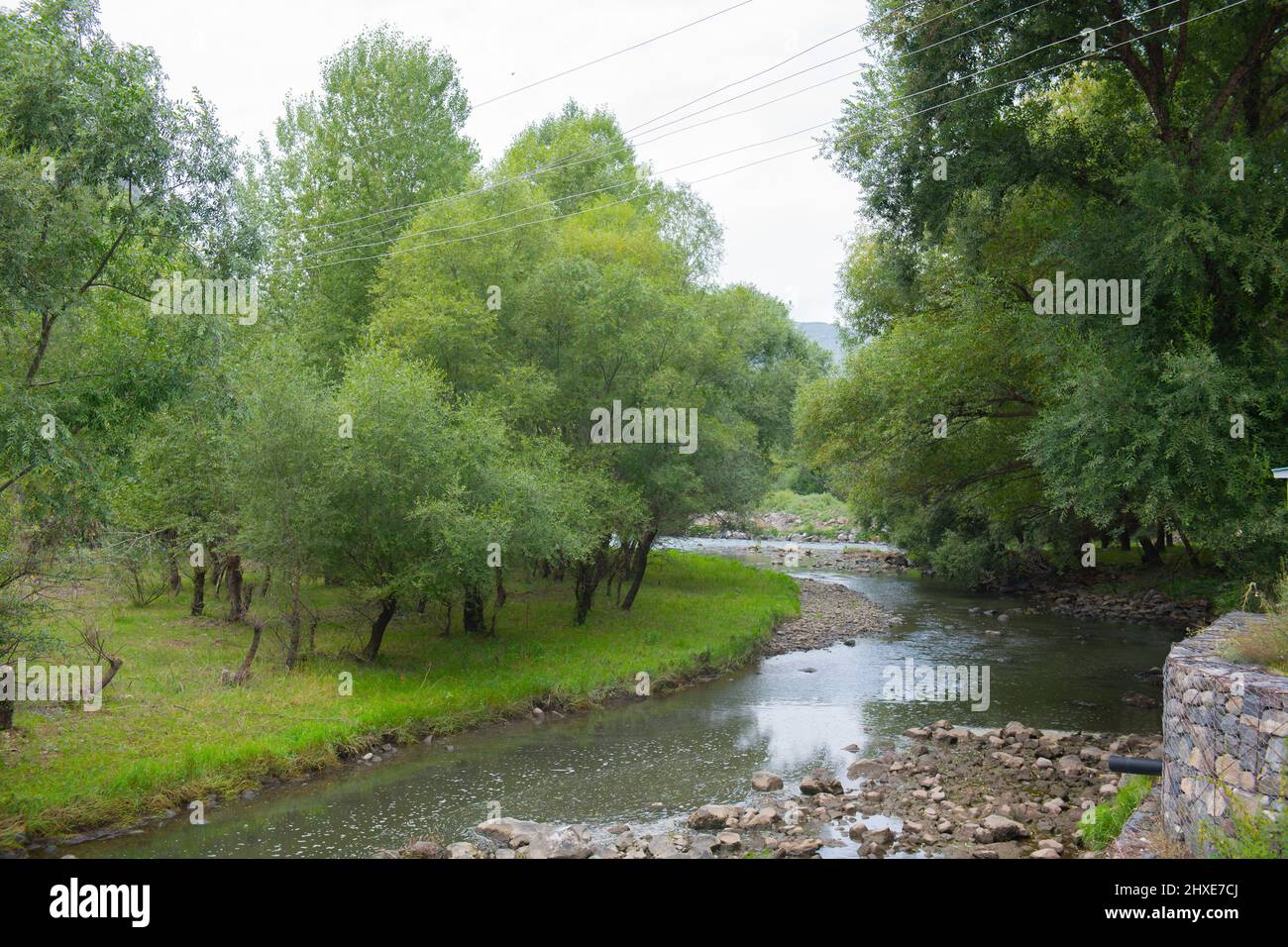 Un piccolo fiume pittoresco scorre in Georgia Foto Stock