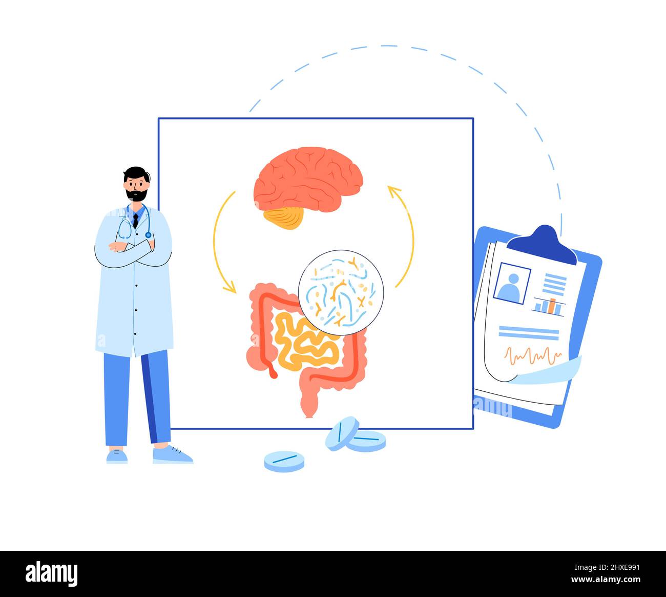 Connessione tra intestino e cervello, illustrazione Foto Stock