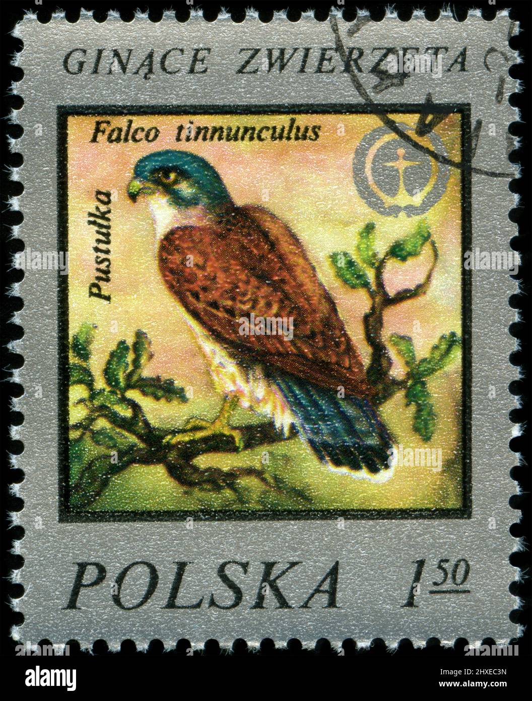 Francobollo dalla Polonia nella serie Wildlife Protection pubblicata nel 1977 Foto Stock