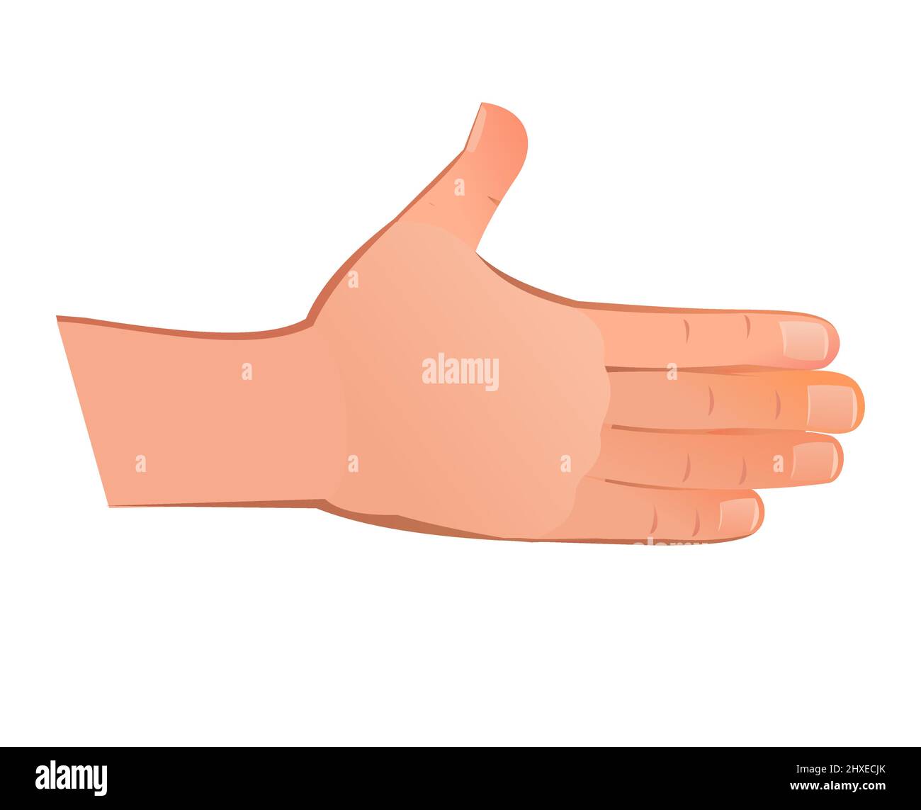 Mano estesa per la stretta di mano. Oggetto isolato su sfondo bianco. Divertente stile cartoon. Vettore. Illustrazione Vettoriale