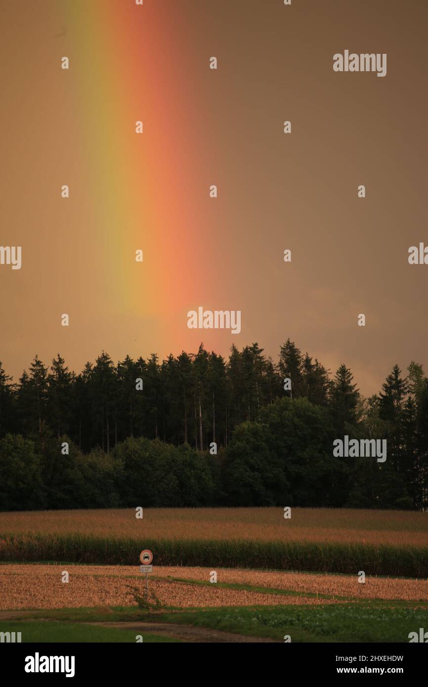 arcobaleno sopra la foresta - Regenbogen über einem Wald - Abendstimmung, atmosfera serale Foto Stock