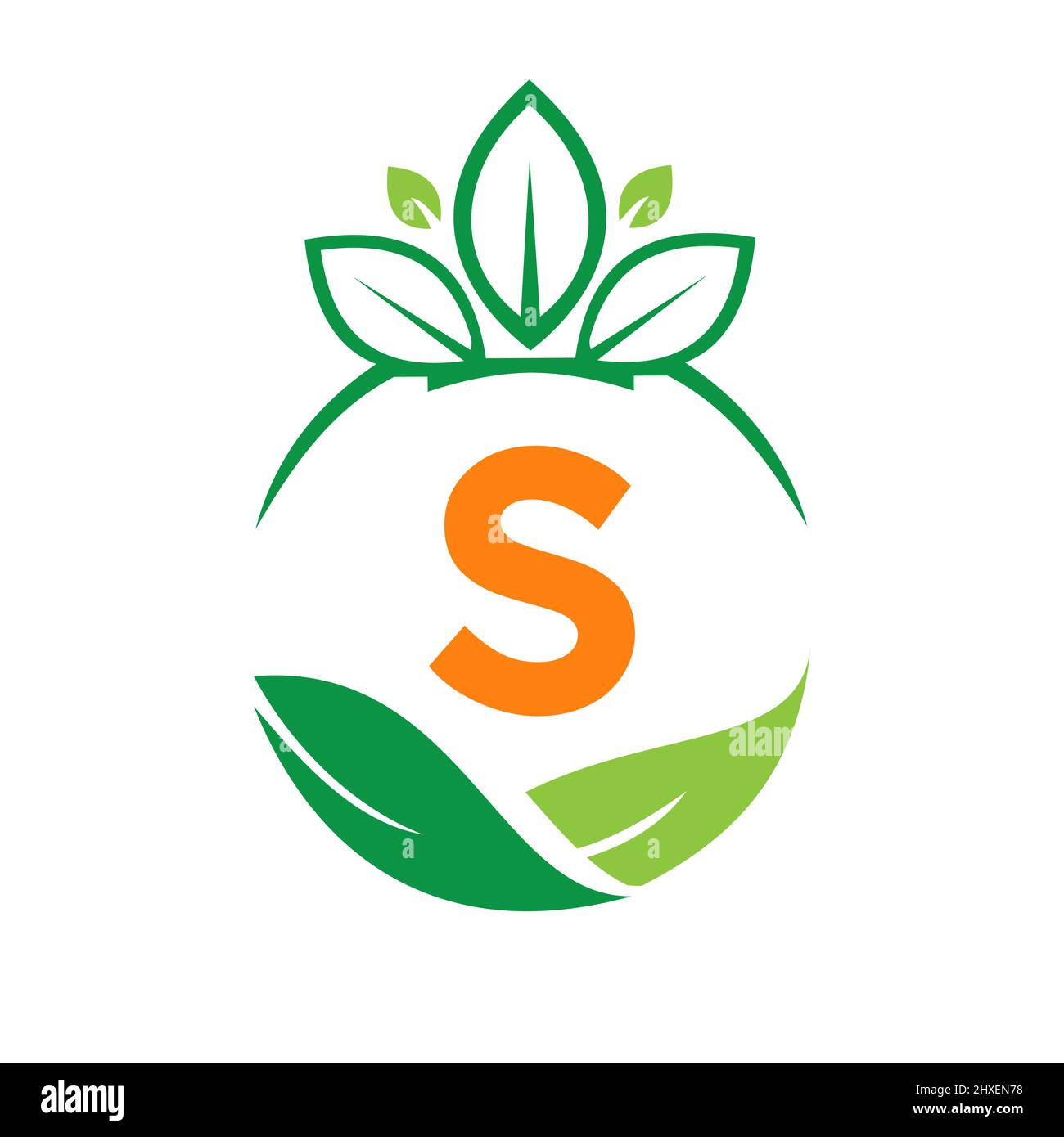Ecologia Salute sulla lettera S Eco biologico Logo fresco, Agricoltura ortaggi agricoli. Sano biologico Eco Vegetarian Food S logotipo modello di progettazione Illustrazione Vettoriale