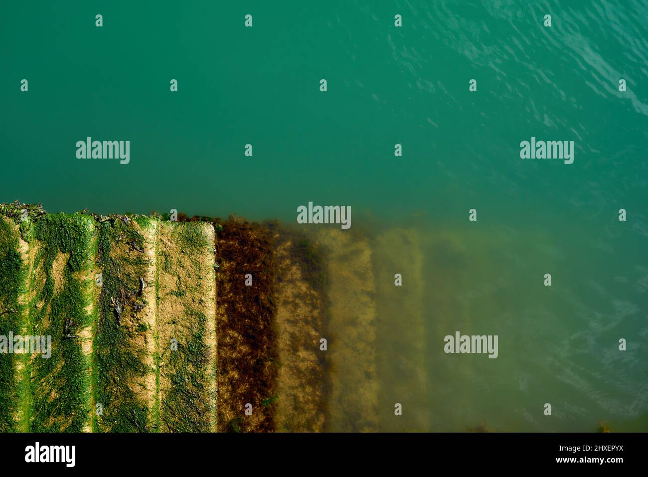 I gradini coperti di alghe conducono in acqua verde Foto Stock