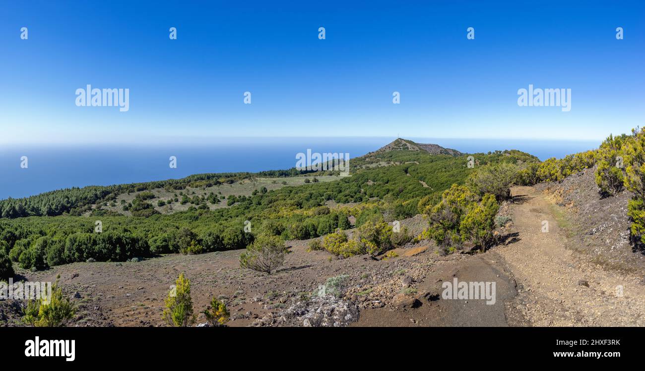 Nella parte ovest dell'isola di El Hierro - paesaggio verde a Camino de la Virgen Foto Stock