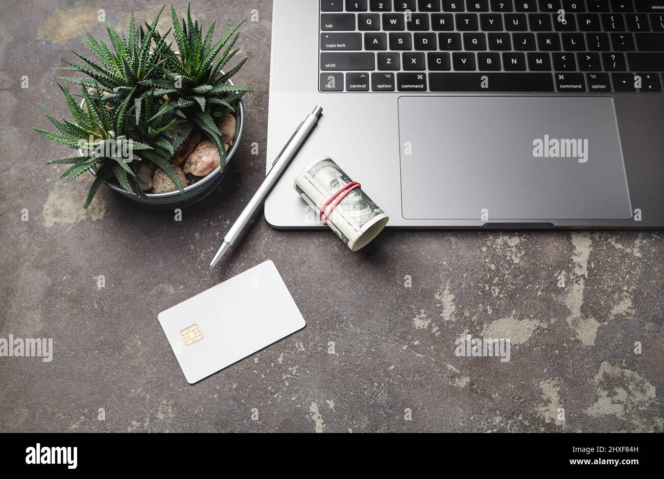 Concetto di shopping in linea del Internet. Computer portatile, dollari, carta di credito, penna e pianta succulenta su sfondo concreto. Foto Stock
