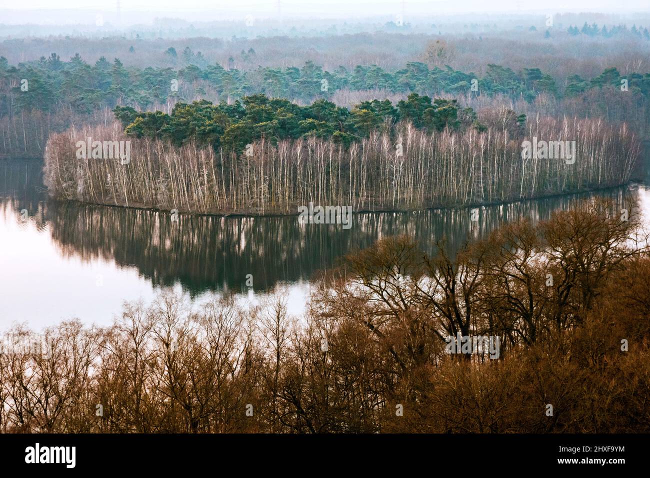 Six Lakes Plateau a Duisburg-Wedau, isola sul Haubachsee Foto Stock