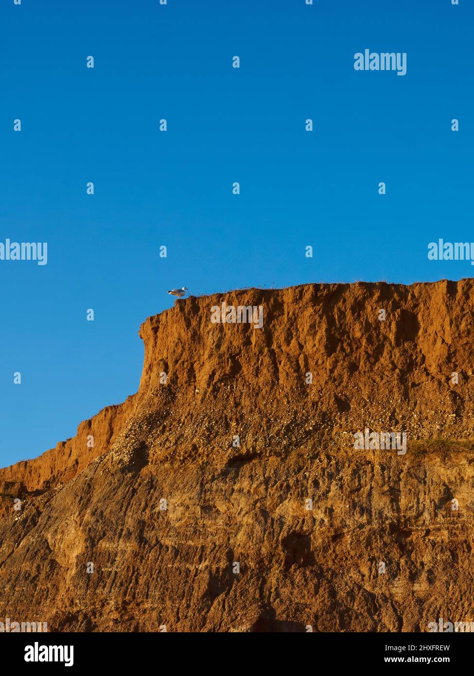 Una vista piuttosto astratta delle scogliere di Compton Bay, con il sole autunnale che fa risplendere i ricchi colori caldi delle rocce contro il cielo blu. Foto Stock