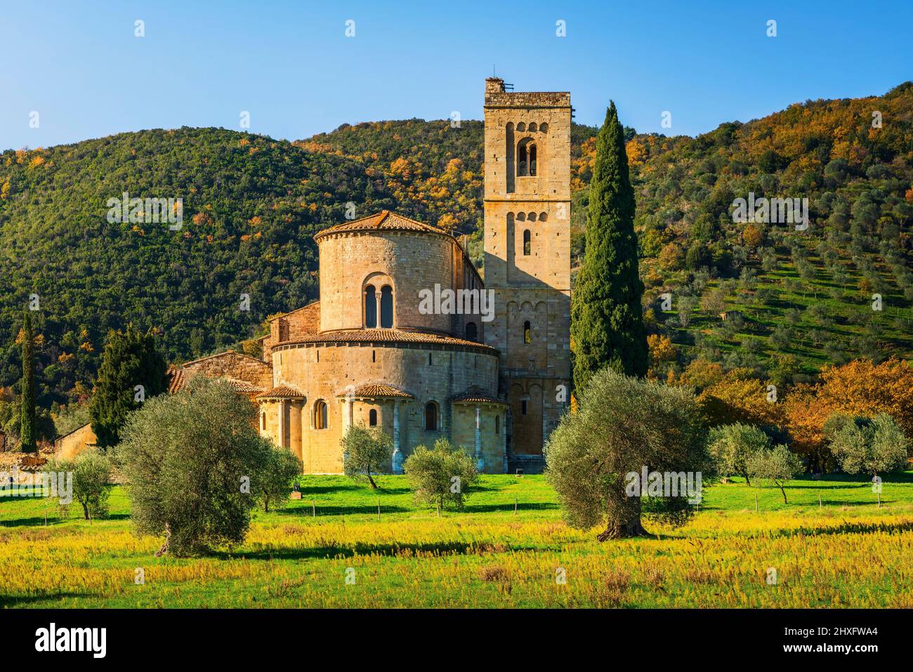 Abbazia di Sant Antimo, ulivi e cipressi. Montalcino. Toscana, Italia Foto Stock
