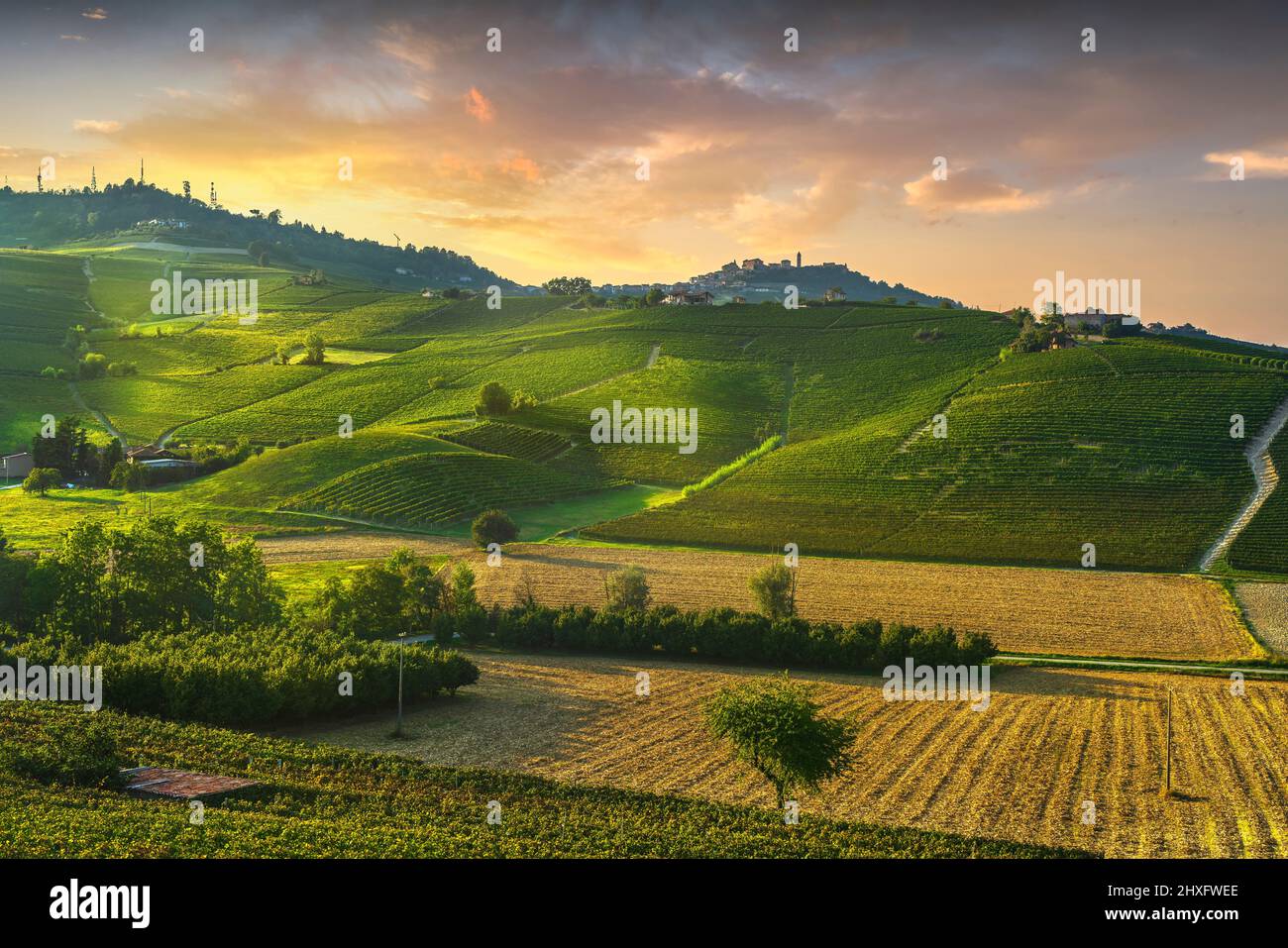 Vigneti delle Langhe panorama al tramonto, Barolo e La Morra, sito Unesco, Piemonte, Italia del nord Europa. Foto Stock