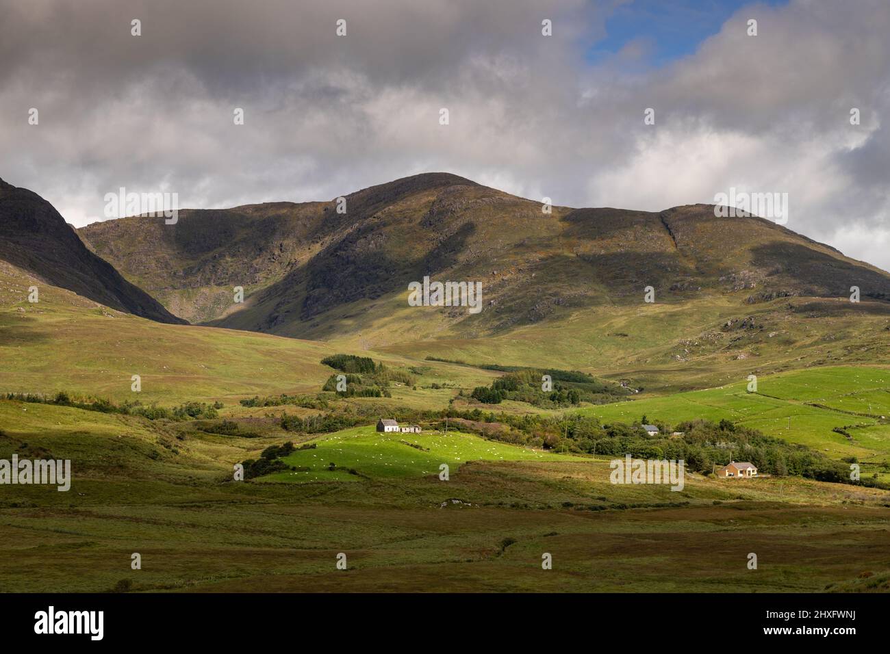 Montagne e fattoria nella contea di Kerry, Irlanda Foto Stock