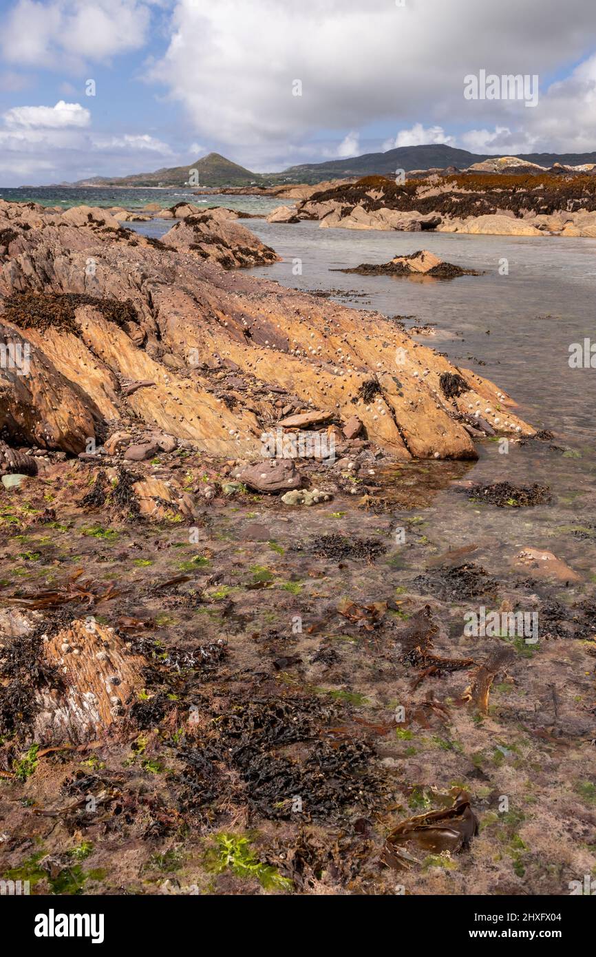 Whitestrand Beach, County Kerry, Irlanda Foto Stock