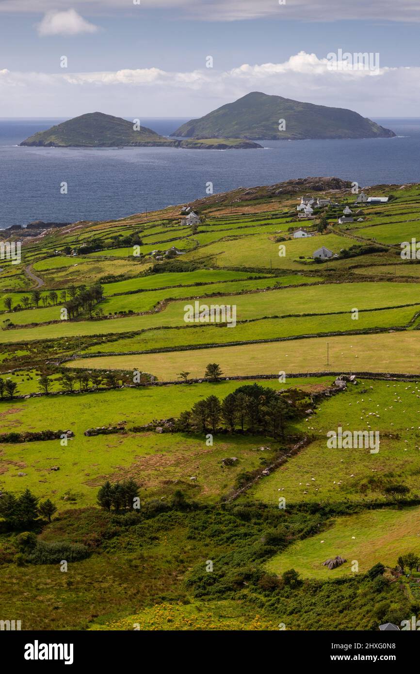 Isole di Scariff e Deenish al largo della costa atlantica della contea di Kerry, Irlanda Foto Stock
