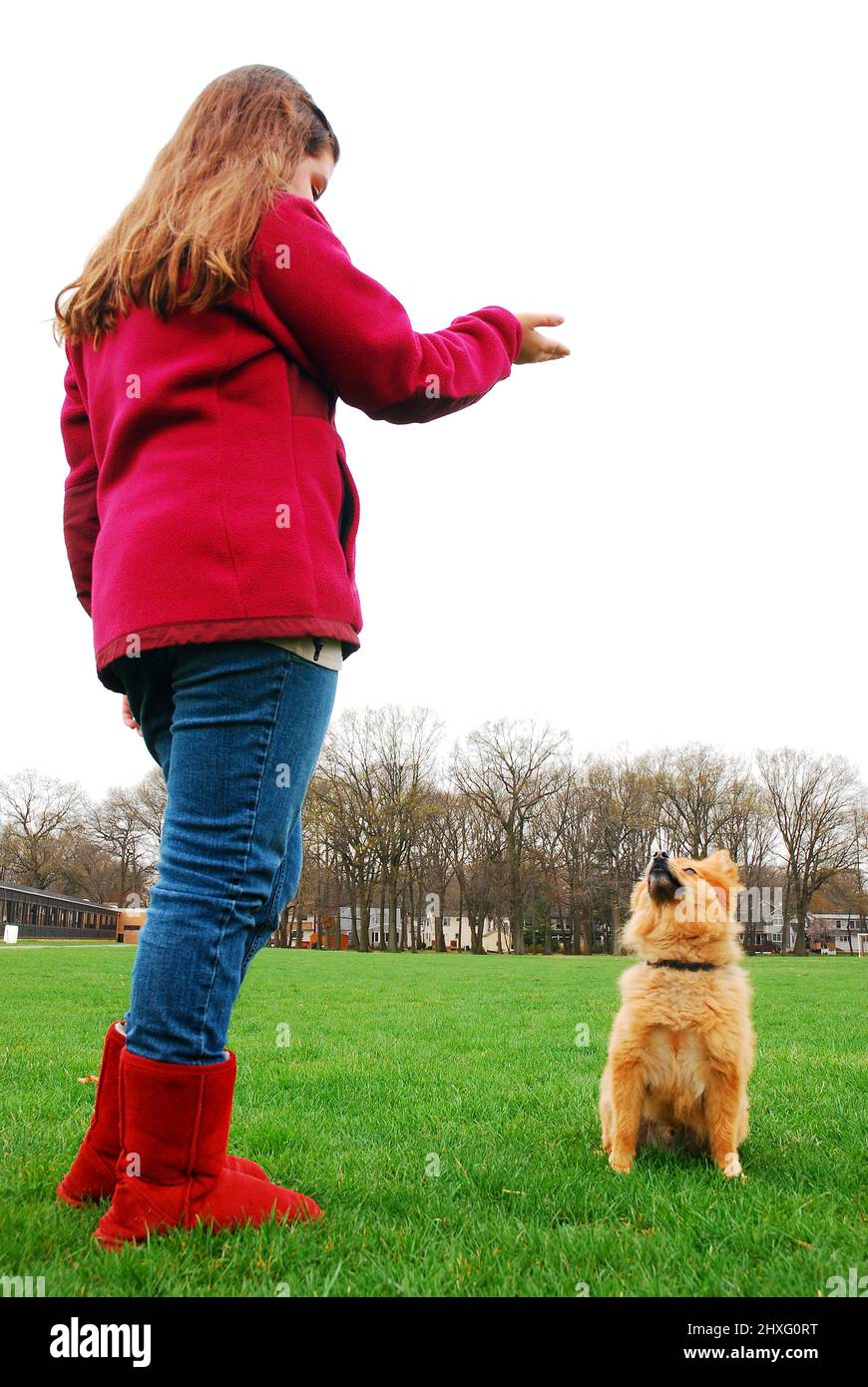 Una giovane ragazza allena il suo cane con gesti a mano Foto Stock
