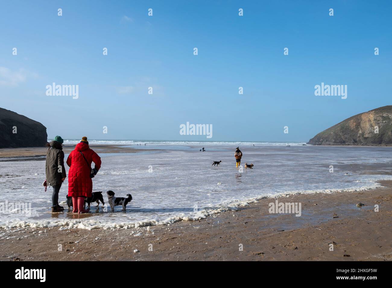 Trenance Beach Cornovaglia UK durante le vacanze invernali con persone e i loro cani a piedi sulla spiaggia. Foto Stock