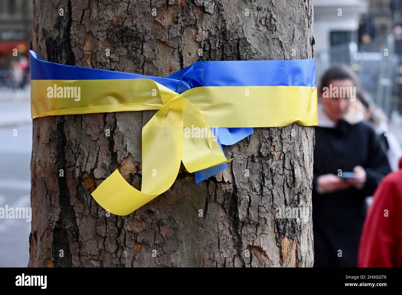 Londra, UK.Stand con Ucraina. Un nastro in colori ucraini è legato intorno ad un albero in Trafalgar Square in solidarietà con l'Ucraina. Credit: michael melia/Alamy Live News Foto Stock