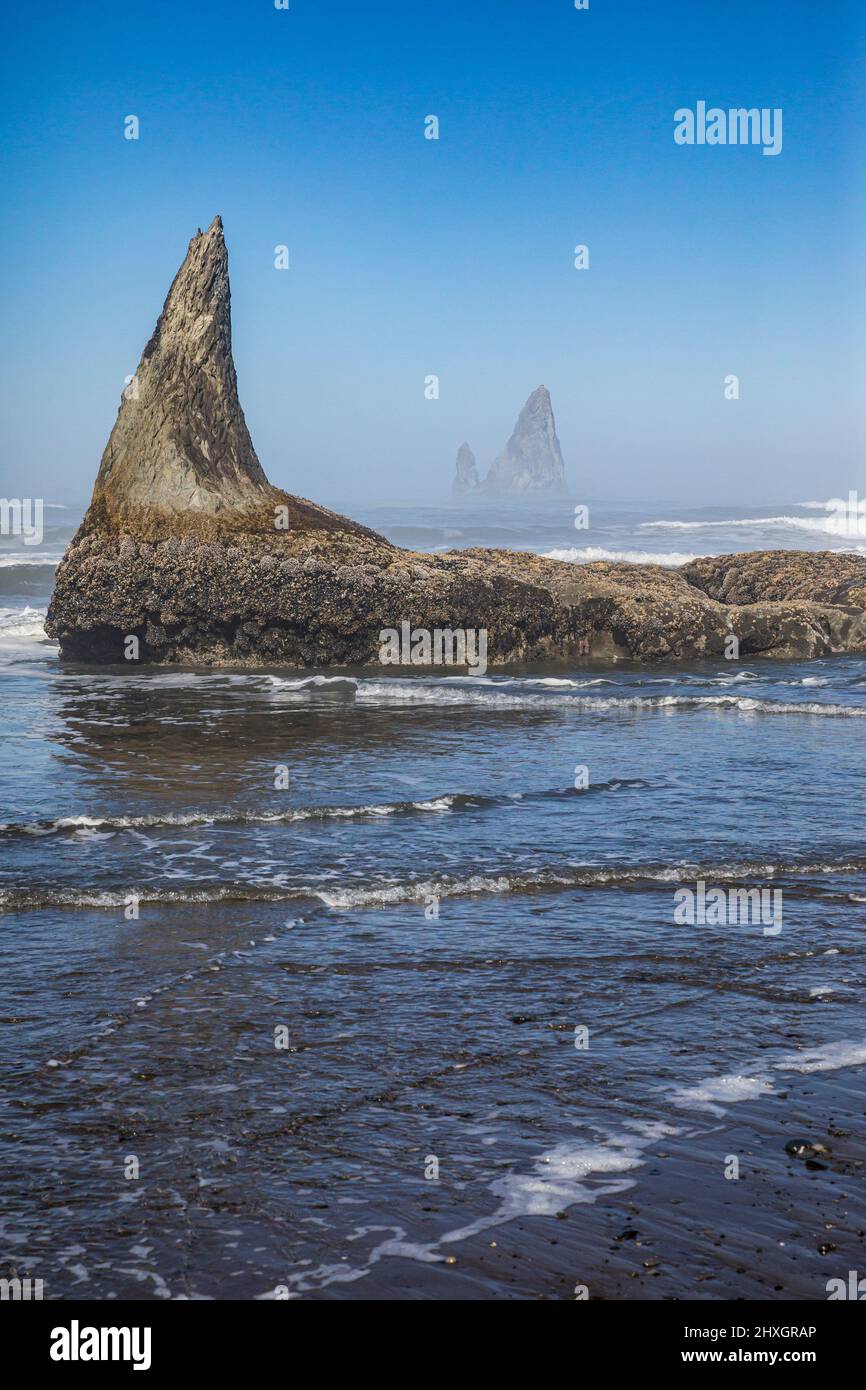 I pinnacoli di roccia e le onde dell'oceano sulla Riserva Marina Nazionale Olimpica e sulla striscia costiera del Parco Nazionale Olimpico, Washington, USA. Foto Stock