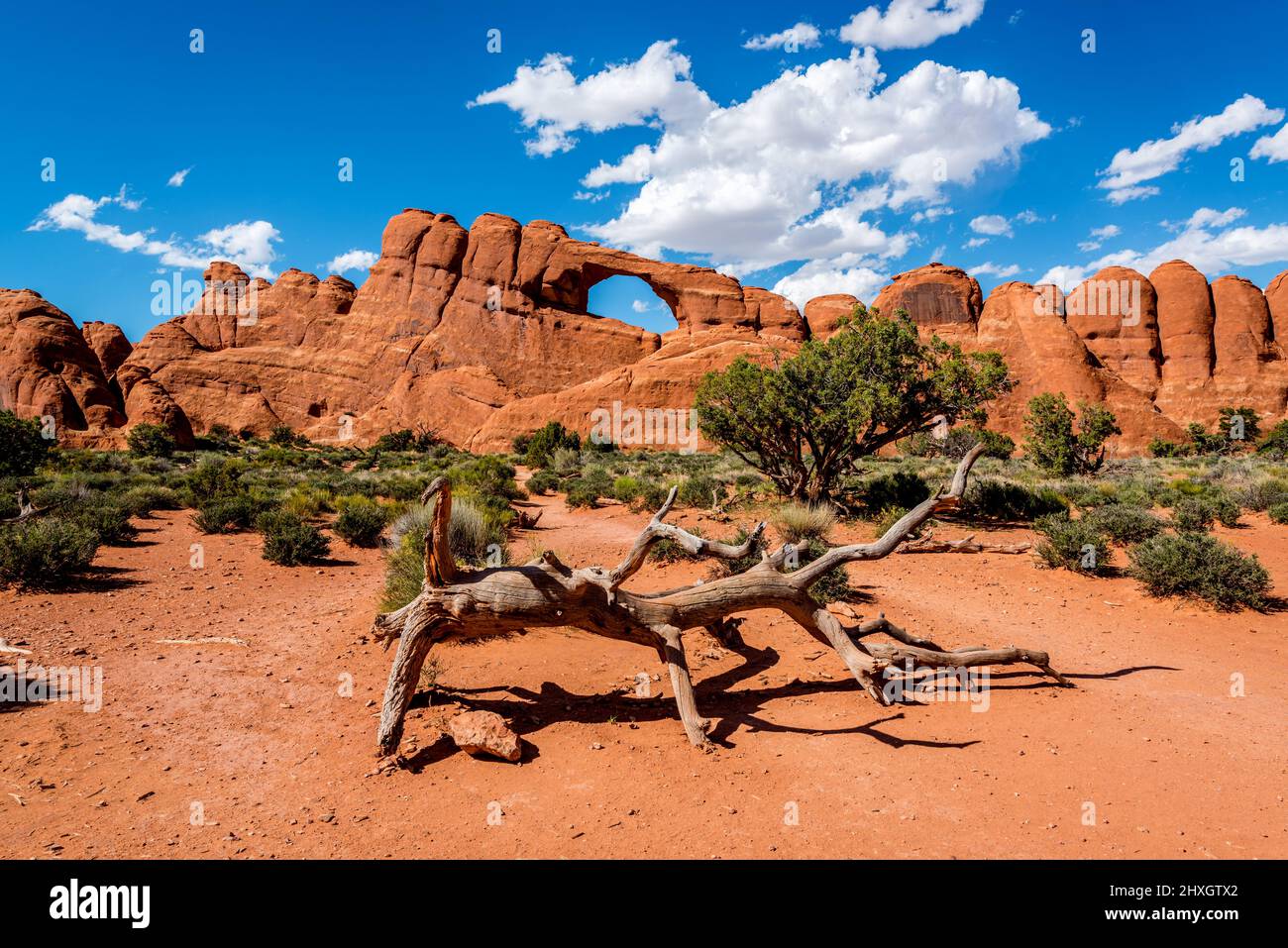 Parco Nazionale di Arches, Utah-STATI UNITI D'AMERICA Foto Stock