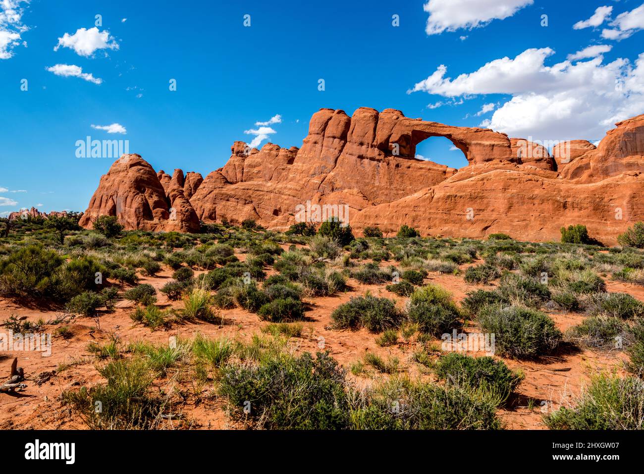 Parco Nazionale di Arches, Utah-STATI UNITI D'AMERICA Foto Stock