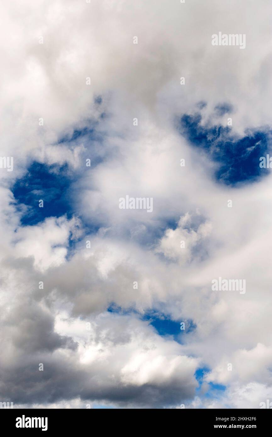 Cumulus fractus nuvole con un volto umano che ti guarda, nuvole di bel tempo Foto Stock