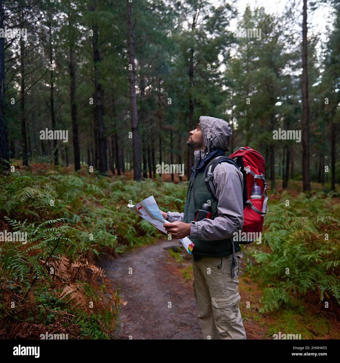 Esplora i dintorni locali. Scatto di un uomo in una pineta con una mappa, figurando il suo orientamento. Foto Stock