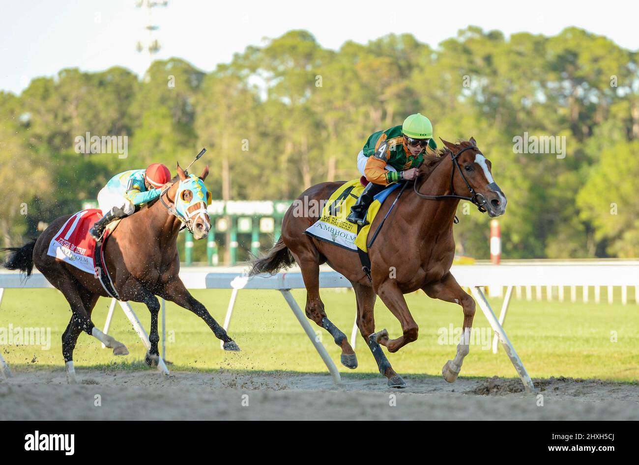 Oldsmar, Florida, Stati Uniti. 12th Mar 2022. 12 marzo 2022: #4 CLASSIC CAUSEWAY e Jockey Irad Ortiz Jr. Vincono il $400.000 Grade II Lambholm South Tampa Bay Derby per il Trainer Brian Lynch al Tampa Bay Downs di Oldsmar, Florida, il 12 febbraio 2022. Dennis/Eclipse Sportswire/CSM/Alamy Live News Foto Stock