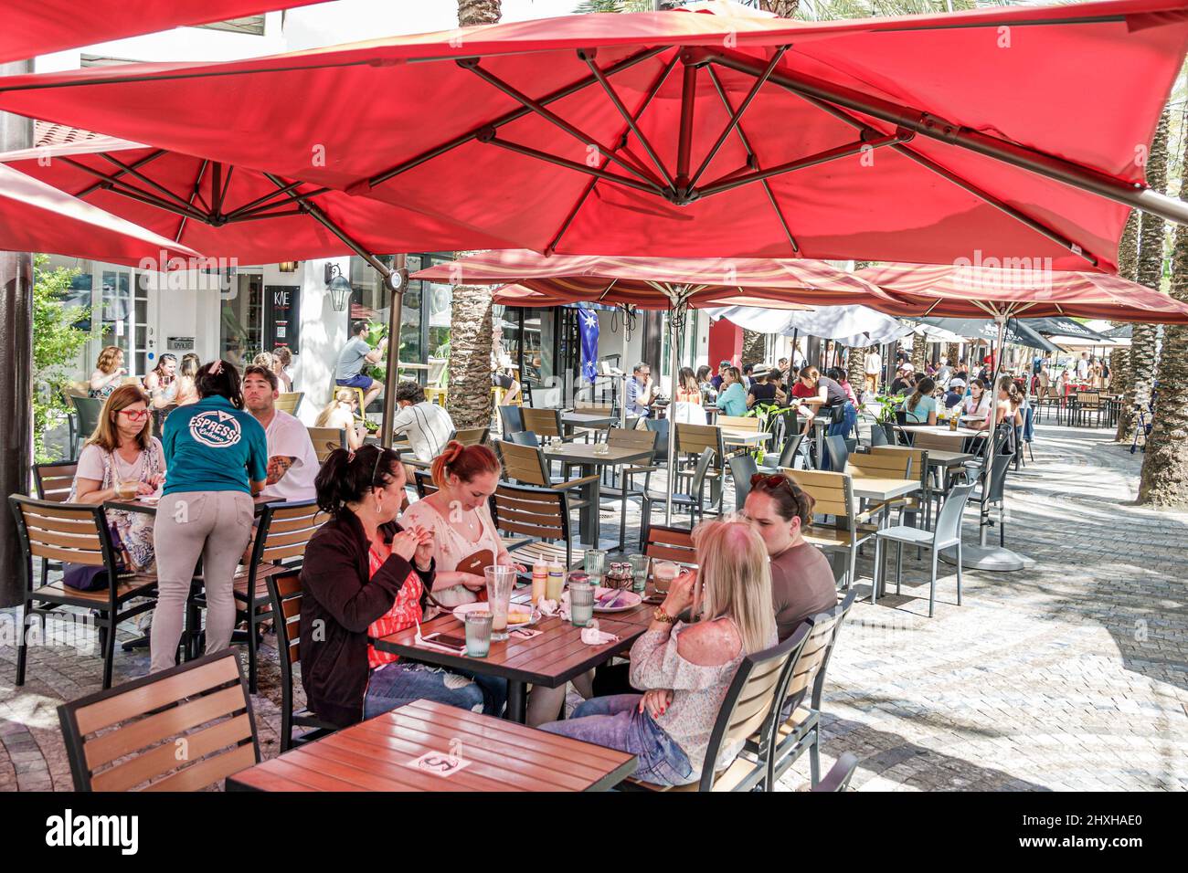 Coral Gables Florida Miami Giralda Avenue Plaza ristorante fila strada pedonale al fresco pranzo all'aperto tavoli ombrelloni espresso Cubano Foto Stock