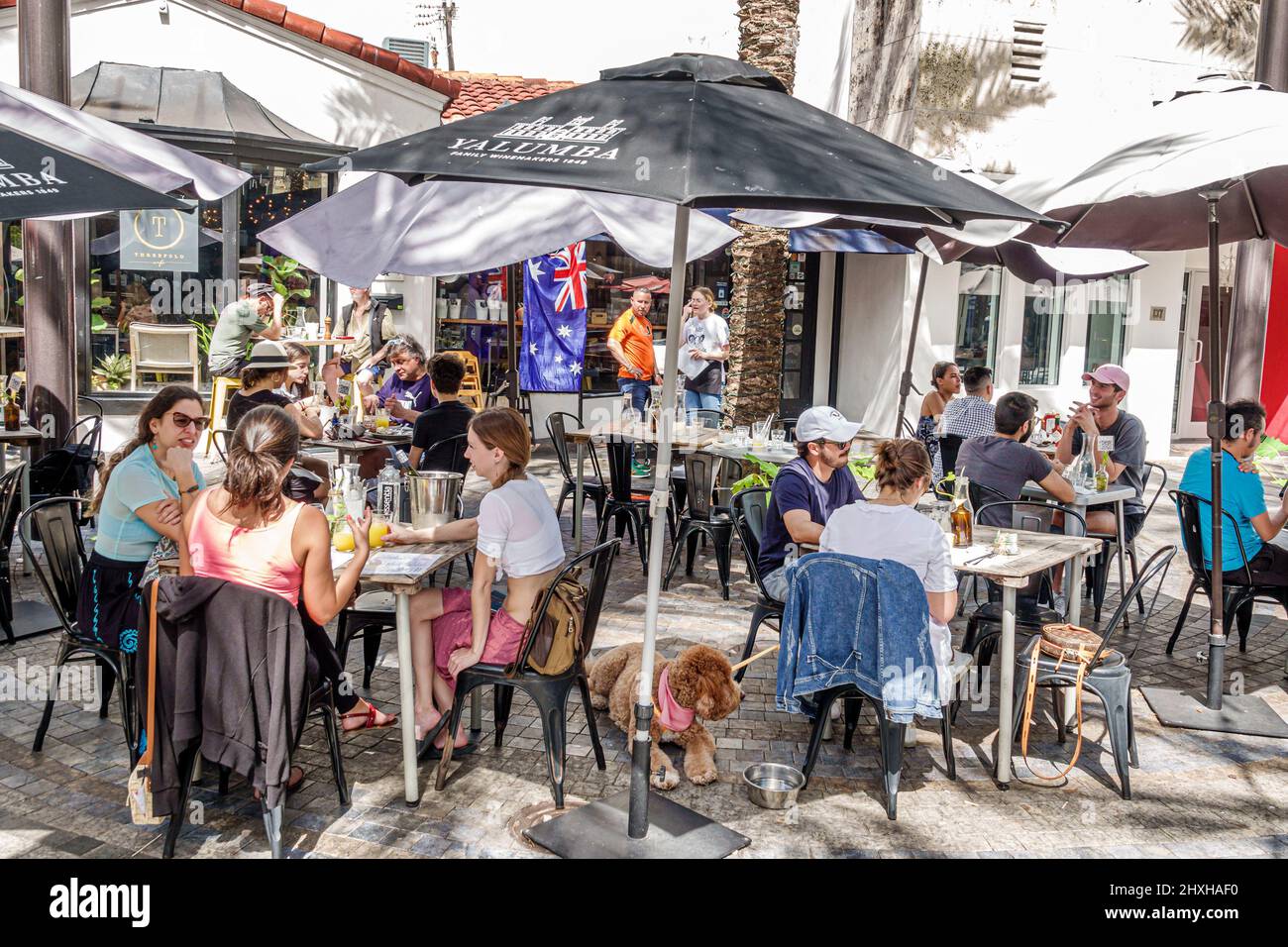 Coral Gables Florida Miami Giralda Avenue Plaza ristorante fila strada pedonale al fresco pranzo all'aperto tavoli ombrelloni Foto Stock