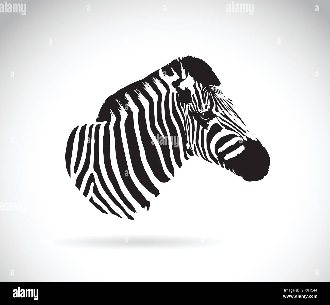 Immagine vettoriale della testa zebra su sfondo bianco. Illustrazione vettoriale a livelli facilmente modificabile. Illustrazione Vettoriale