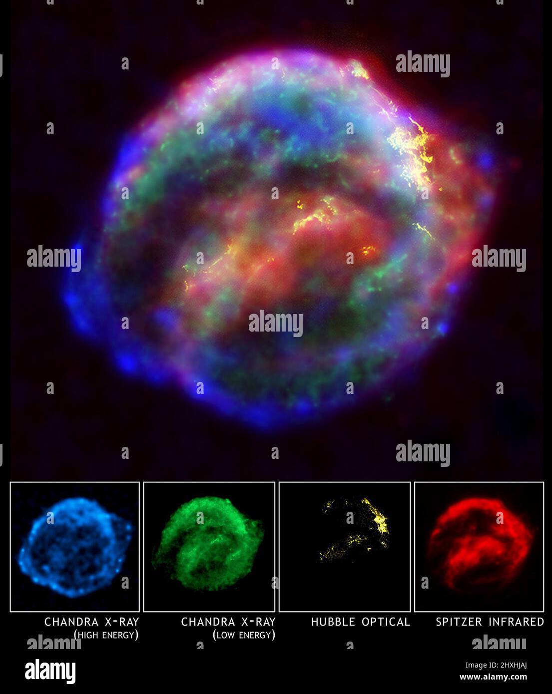 Questa immagine composita a raggi X di Chandra (blu e verde), telescopio spaziale Hubble ottico (giallo) e telescopio spaziale Spitzer a infrarossi (rosso) mostra una nube di gas e polvere che è di 14 anni luce in diametro ed espansione a 4 milioni di miglia all'ora (2.000 chilometri al secondo). L'immagine ottica rivela un gas di 10.000 gradi Celsius in cui l'onda d'urto supernova sbatte nelle regioni più dense del gas circostante. L'immagine a infrarossi evidenzia le particelle microscopiche di polvere spazzate e riscaldate dall'onda d'urto supernova. I dati radiologici mostrano regioni con gas di grado multimilionario o con un'en estremamente alta Foto Stock