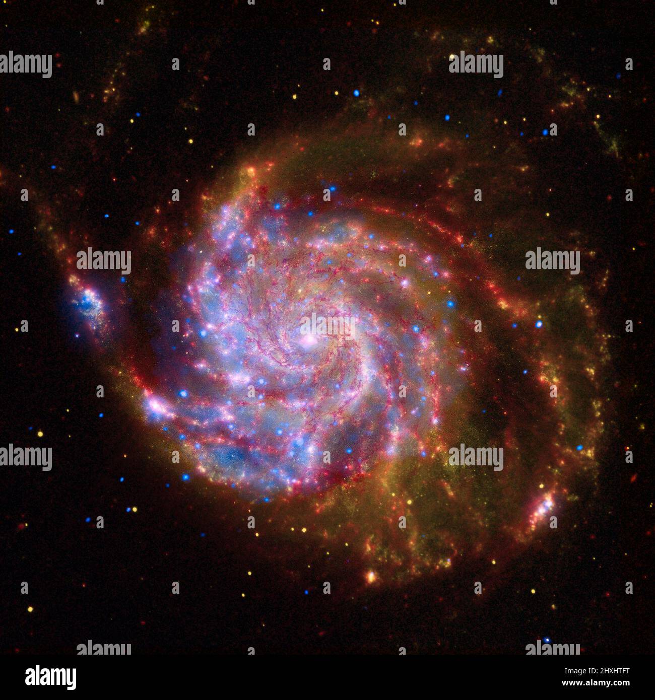 Questa immagine del M101 è un insieme di dati provenienti dall'Osservatorio dei raggi X Chandra della NASA, dal telescopio spaziale Spitzer e dal telescopio spaziale Hubble. Fonti di raggi X rilevati da Chandra (blu colorato) includono gas a milioni di gradi, i detriti da stelle esplose, e materiale che si zoomano intorno a buchi neri e stelle neutroni. La vista di Spitzer in luce infrarossa (rossa) evidenzia il calore emesso dalle corsie della polvere nella galassia dove possono formarsi le stelle. Infine, la maggior parte dei dati della luce visibile provenienti da Hubble (giallo) provengono da stelle che tracciano la stessa struttura a spirale delle corsie della polvere. Foto Stock