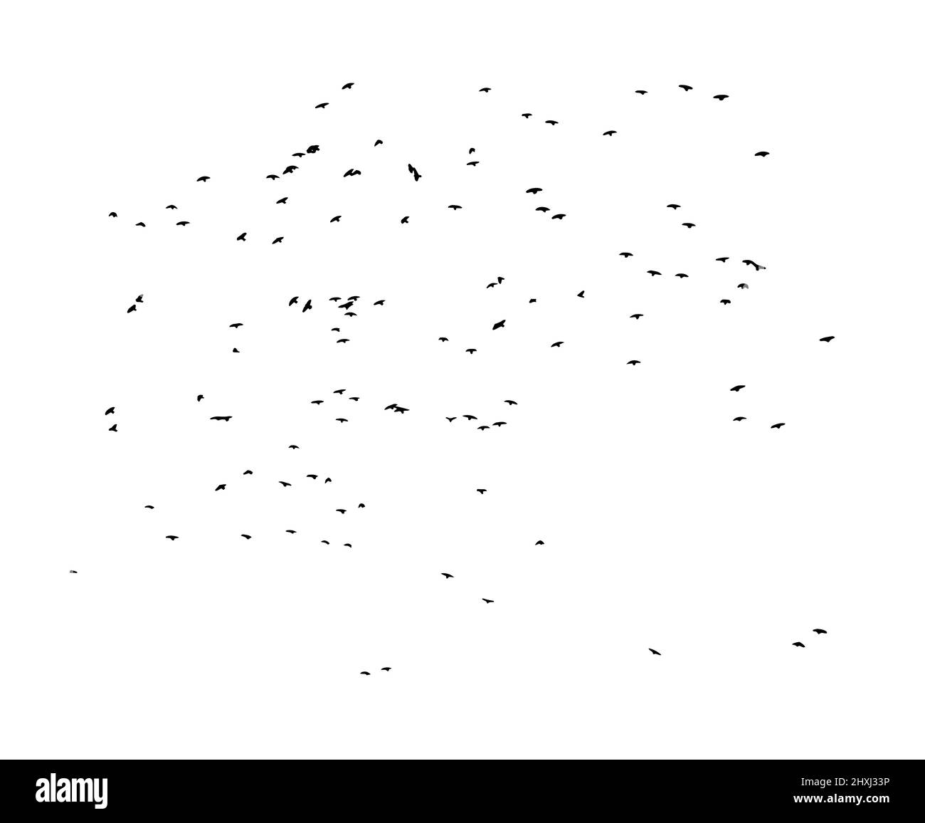 Un gregge di uccelli volanti. Uccelli liberi. Illustrazione vettoriale Illustrazione Vettoriale