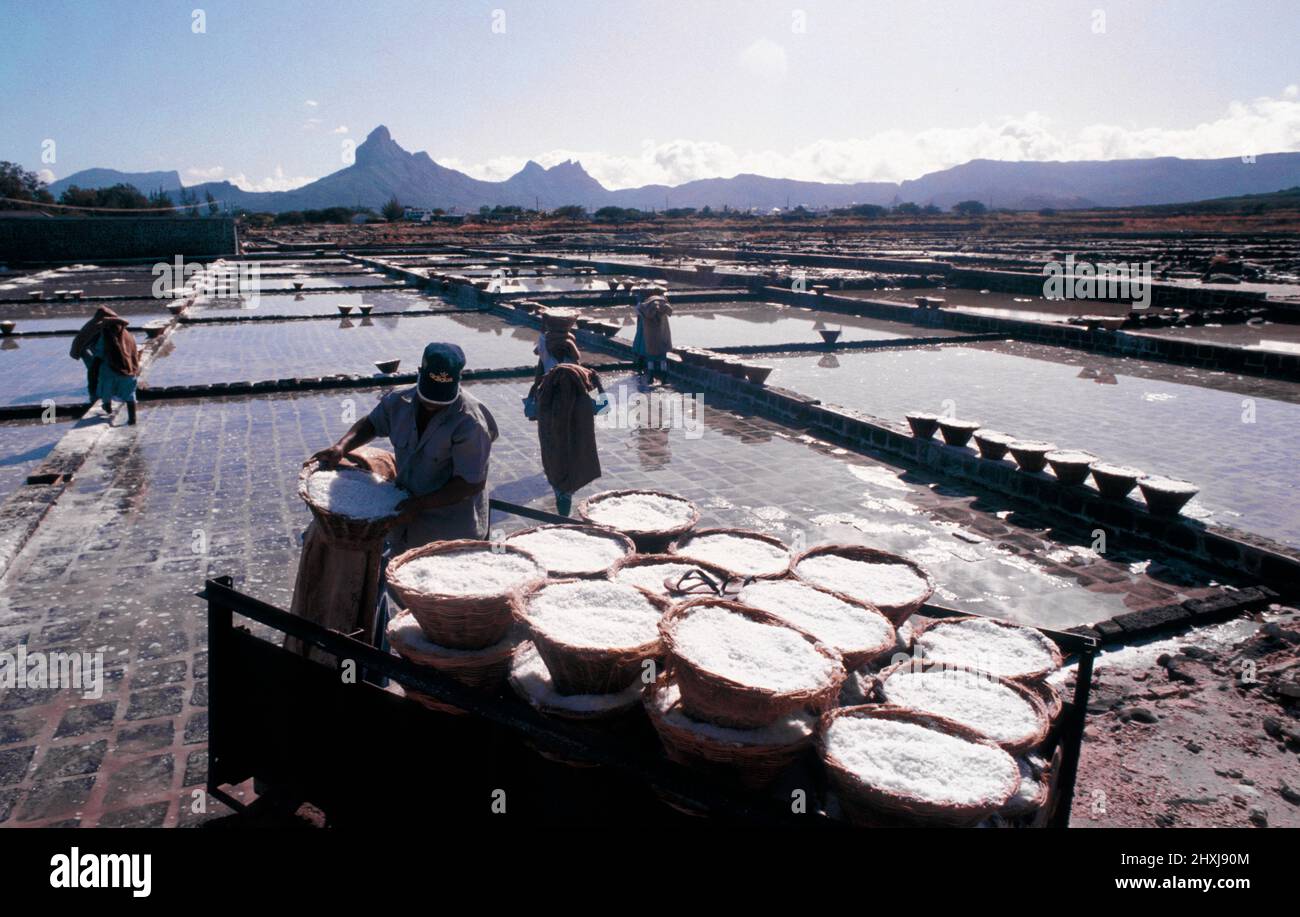 Isola Mauritius sale palude fiume nero donna duro lavoro Foto Stock