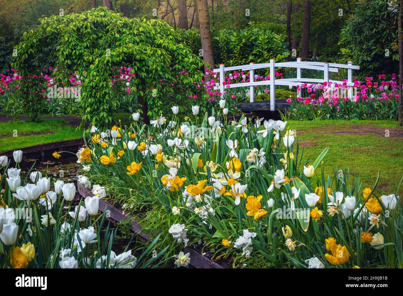 Giardino Keukenhof decorato con varie collezioni di tulipani colorati e piccolo ponte di legno. Uno dei giardini ornamentali più visitati d'Europa, Lisse Foto Stock